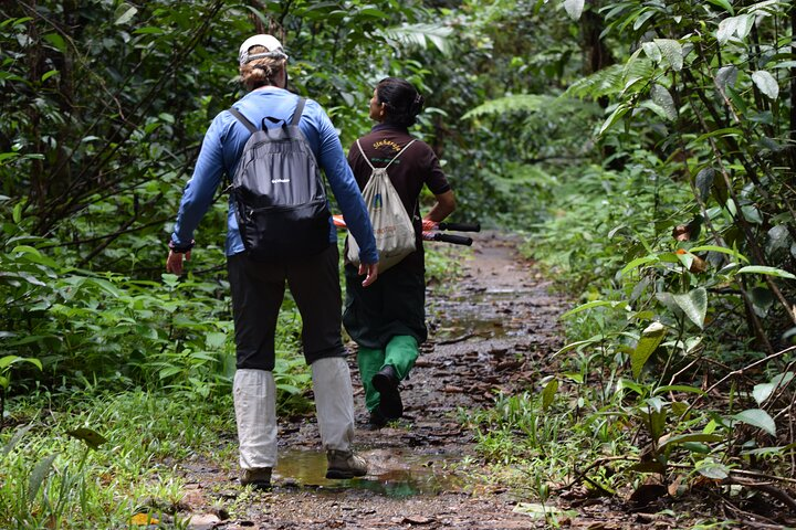 Sinharaja Rain Forest Tour from Bentota - Photo 1 of 12